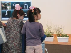 yp_20111009_4.jpg